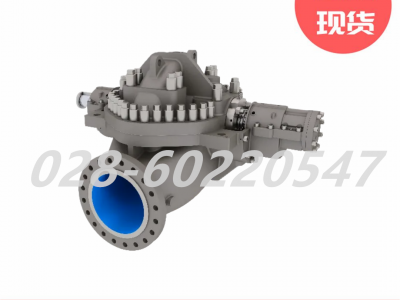 Flowserve福斯DVSH系列双支撑式泵单壳泵图3