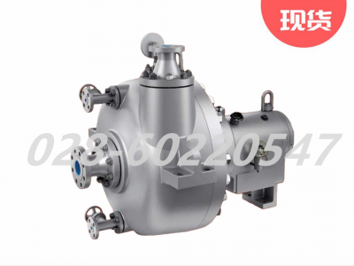 Flowserve福斯悬臂浆液泵HPXM6000低流量高扬程图3