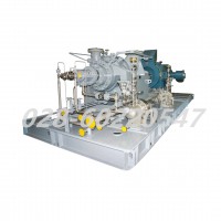 Flowserve福斯WTB系列双支撑式泵径向剖分单壳泵