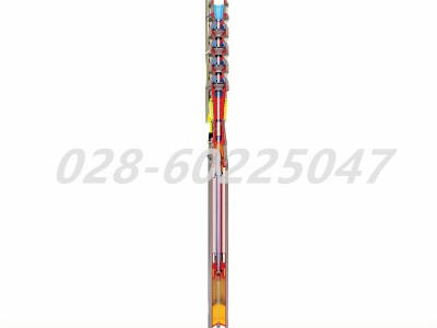 Flowserve福斯SUBM系列立式潜水泵带注油电机图2