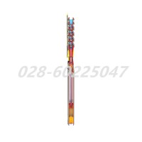 Flowserve福斯SUBM系列立式潜水泵带注油电机