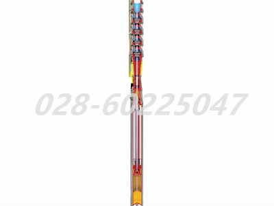 Flowserve福斯SUBM系列立式潜水泵带注油电机图5