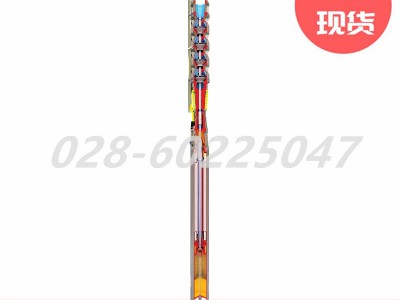 Flowserve福斯SUBM系列立式潜水泵带注油电机图3