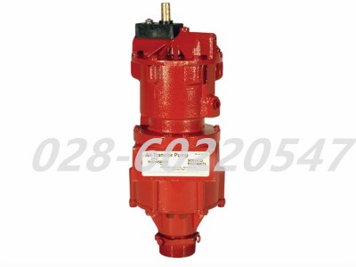 Flowserve福斯AP-30系列容积式泵空气活塞泵图2