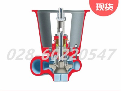 Flowserve福斯DVSS双蜗壳设计核泵图3