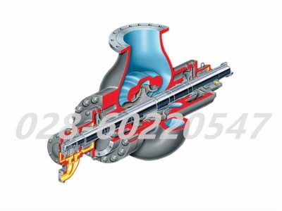 Flowserve福斯DVSR系列核泵铸造蜗壳结构图2