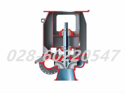 Flowserve福斯MEV系列底吸侧排立式核泵图2