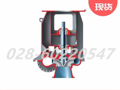 Flowserve福斯MEV系列底吸侧排立式核泵图3