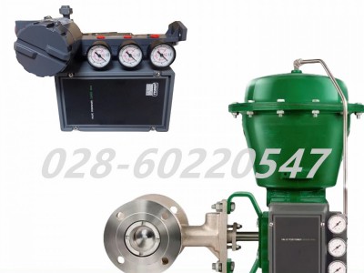 费希尔3610JP型旁路阀成套备件R3610JXBP12图4