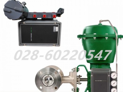 费希尔3610J/3620J定位器套件R3610JX0062图2