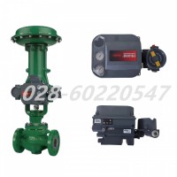 费希尔DVC6200SIS盖板组件低温38B9580X032