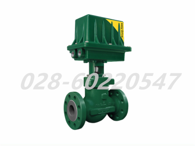 费希尔200L电动执行器定位许可证GE89047X0CN图4