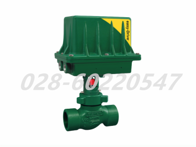 费希尔200L电动执行器蝶型弹簧GE78843X0CN图4